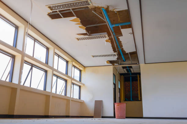 Best Mold removal after water damage  in Casa Blanca, AZ