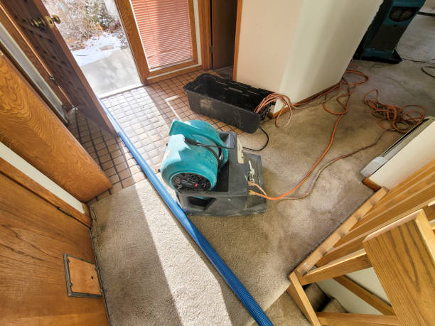 Best Sewage cleanup and water damage restoration  in Casa Blanca, AZ