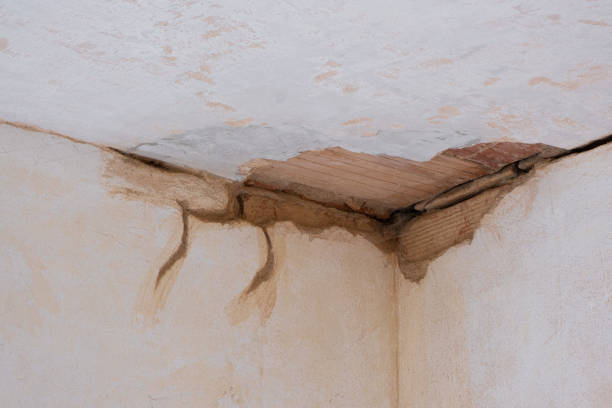 Best Water damage contractors near me  in Casa Blanca, AZ