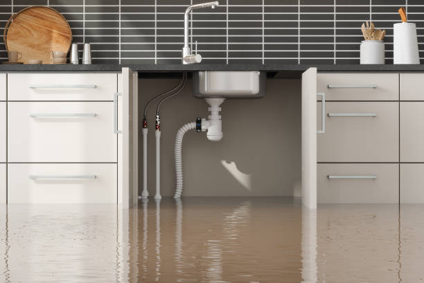 Best Mold removal after water damage  in Casa Blanca, AZ