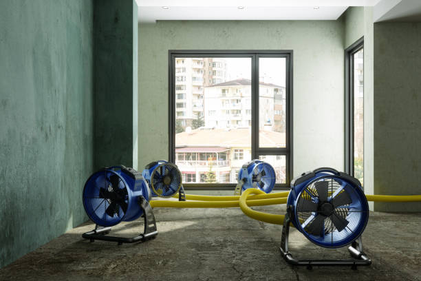 Best Residential water damage restoration  in Casa Blanca, AZ